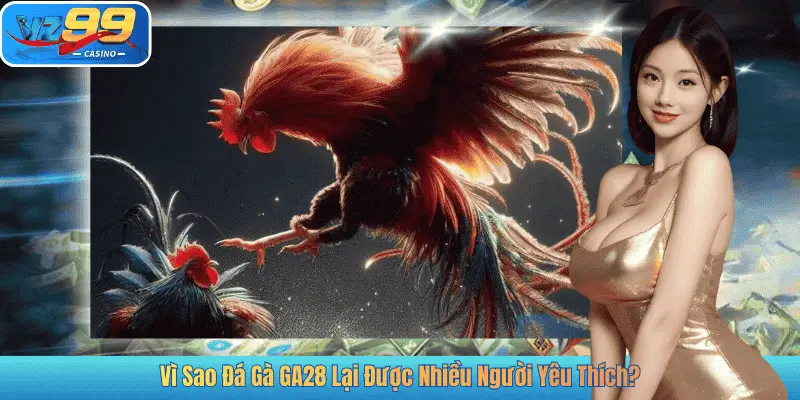 Vì Sao Đá Gà GA28 Lại Được Nhiều Người Yêu Thích?